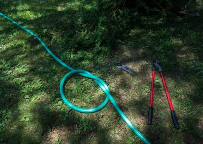 garden tools: hose, clippers, loppers, lopped