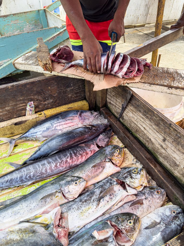 Fish being cut up in Castries Market, St. Lucia